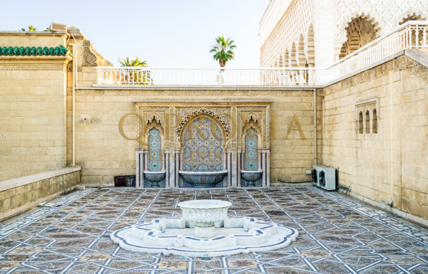 sample-ramonloganjr-09